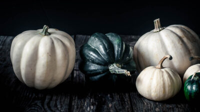 White and green pumpkins. Moody photo.